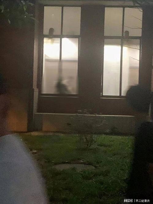 厕所吃瓜视频,揭秘网络热传视频背后的故事