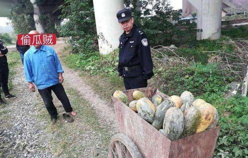 义乌工商吃瓜事件视频,一场网络热议的幕后真相揭秘