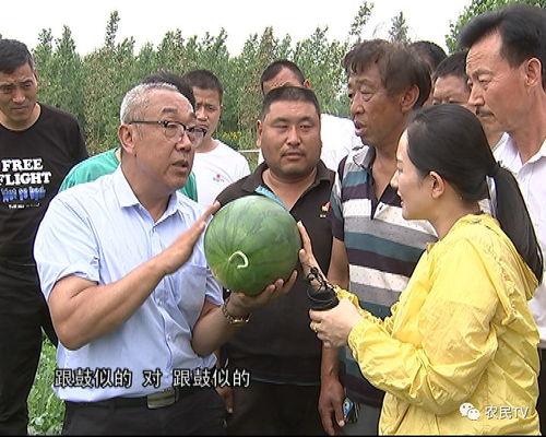 榕东吃瓜群众事件视频,网络热议的街头冲突瞬间