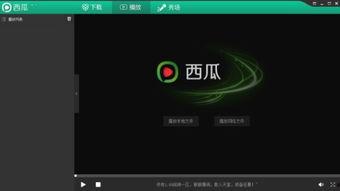 吃瓜网红音乐大全播放视频,跟着节奏一起摇摆！