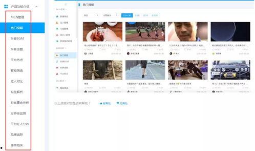 吃瓜网红音乐大全播放视频,跟着节奏一起摇摆！