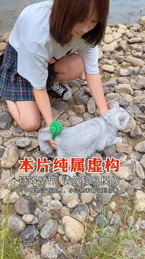 带你吃瓜搞笑沙雕视频,笑料百出！带你领略搞笑沙雕吃瓜视频的魅力