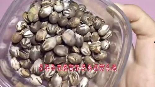 吃哈密瓜吃出虫的视频,一场意外的“虫虫大作战”