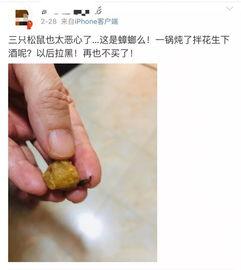 吃哈密瓜吃出虫的视频,一场意外的“虫虫大作战”