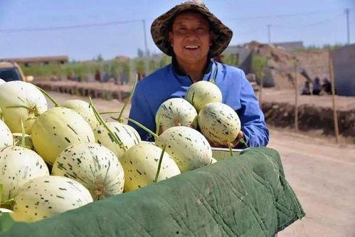 肥仔群众吃瓜视频,揭秘娱乐圈幕后故事