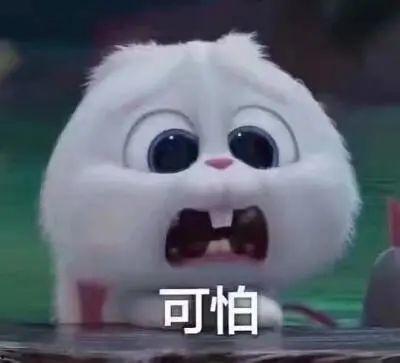 会宁县吃瓜事件真相视频,真相视频曝光背后的真相