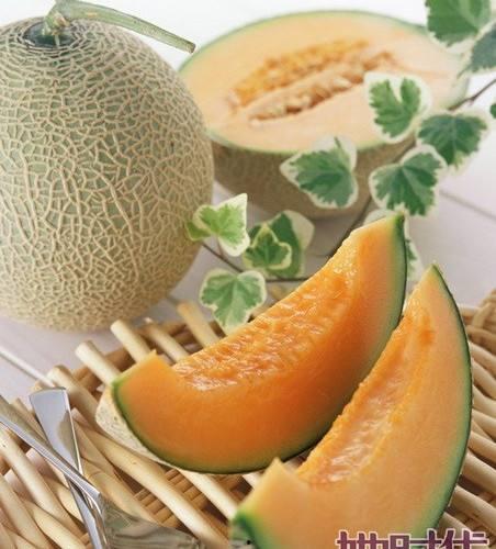 大鹅吃哈密瓜视频大全,趣味视频大盘点