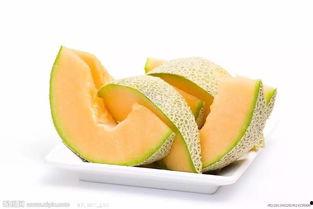 小熊吃哈密瓜视频,甜蜜哈密瓜大餐