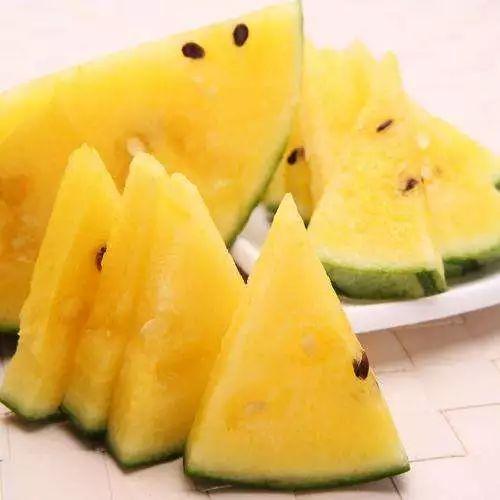 什么瓜吃瓤才好吃视频讲解,如何挑选与食用口感佳的瓜瓤