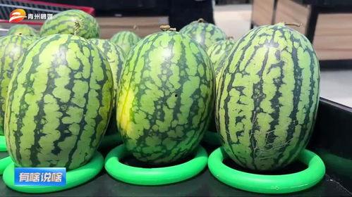 打开正确的吃瓜模式视频,揭秘吃瓜达人必看！打开正确吃瓜模式视频攻略