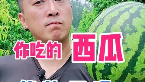 六点准时吃瓜视频大全在线观看,海量视频大全在线观看