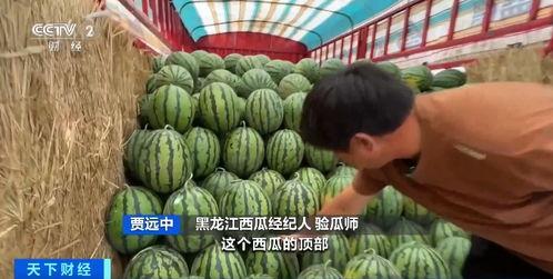 黑龙江吃瓜视频地址,揭秘当地特色美食与风土人情