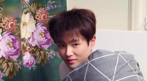 吃瓜大妈范丞丞视频,搞笑瞬间引网友热议