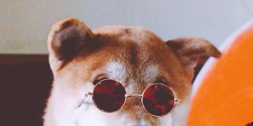 呱哥带你吃瓜搞笑视频大全,搞笑视频大盘点