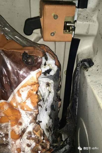 定州北车寄吃瓜视频,揭秘寄吃瓜背后的故事与真相