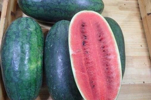 海南岛吃瓜视频,视频带你领略热带风情