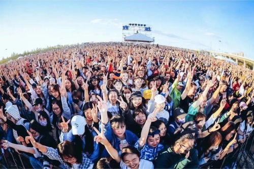 麦田音乐节视频吃瓜,一场视觉与味蕾的双重盛宴