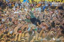 麦田音乐节视频吃瓜,一场视觉与味蕾的双重盛宴