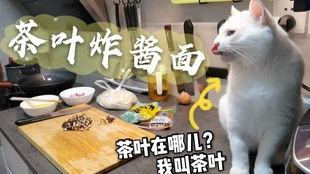 猫吃炒小瓜吗会中毒吗视频,揭秘潜在中毒风险