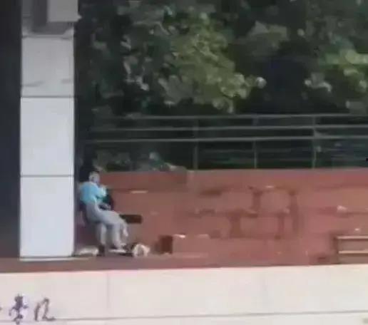 学院学姐吃瓜视频在线播放,揭秘校园生活幕后趣闻