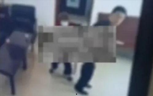 烟台校园吃瓜事件视频,一场网络热议的校园风波揭秘