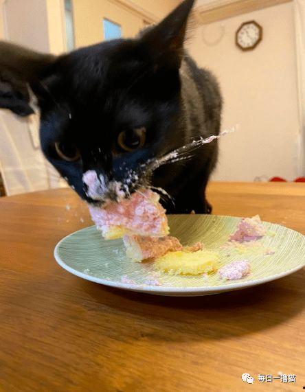 黑猫吃瓜视频,揭秘网络热点的幕后故事