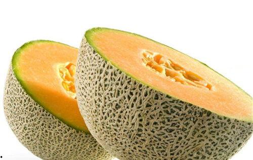 鸭子煮哈密瓜可以吃吗视频,鸭子煮哈密瓜的独特风味揭秘