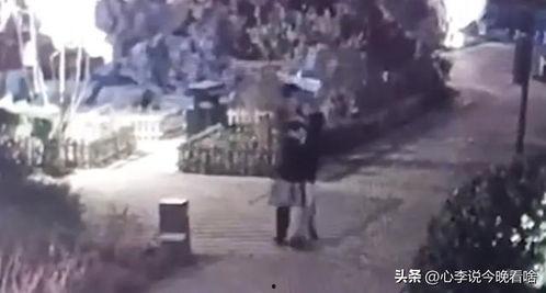 吹牛吃瓜视频完整版,视频完整版深度解析