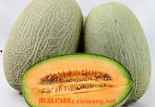 趣味吃哈密瓜视频教程大全,视频教程大全，轻松掌握美味秘诀