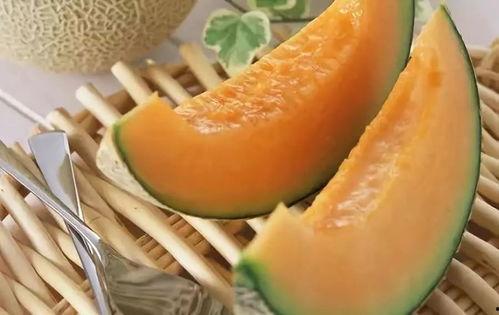 趣味吃哈密瓜视频教程大全,视频教程大全，轻松掌握美味秘诀