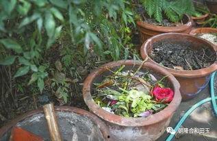 医卫百草园吃瓜事件视频,一场网络舆论的风波与反思